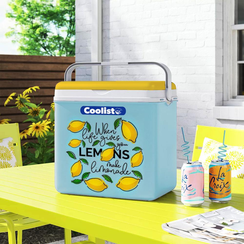 Coolist%20CLB24LM%2024%20Litre%20Limon%20Desenli%20Buzluk%20+%202%20Adet%20400gr.%20Buz%20Kaseti